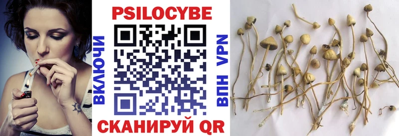 продажа наркотиков  Артём  Галлюциногенные грибы Psilocybine cubensis 